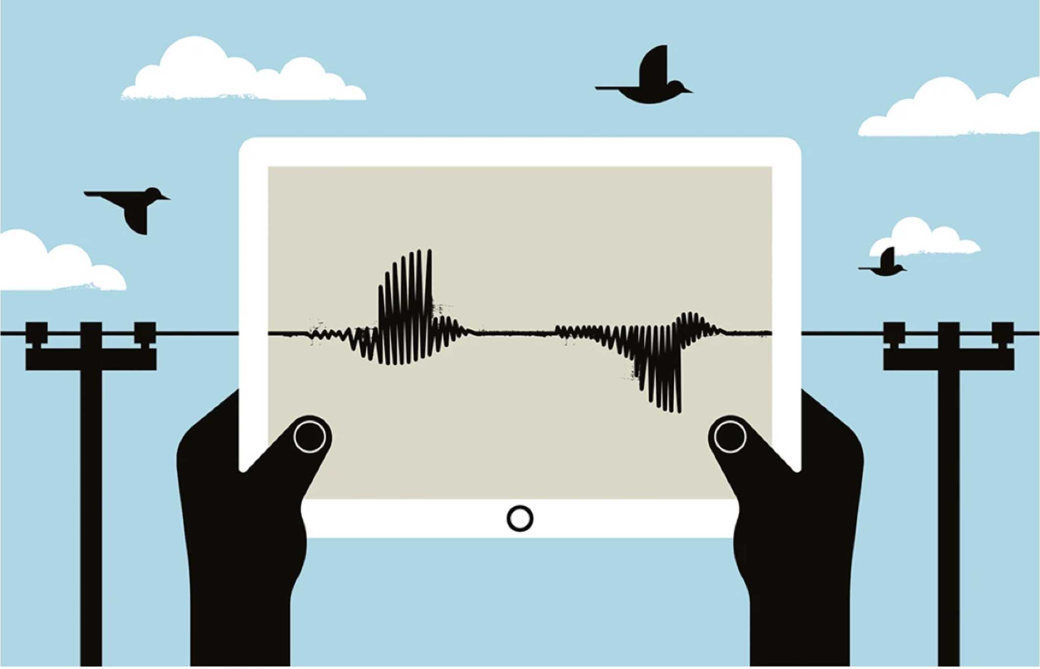 image showing bird monitoring through tech